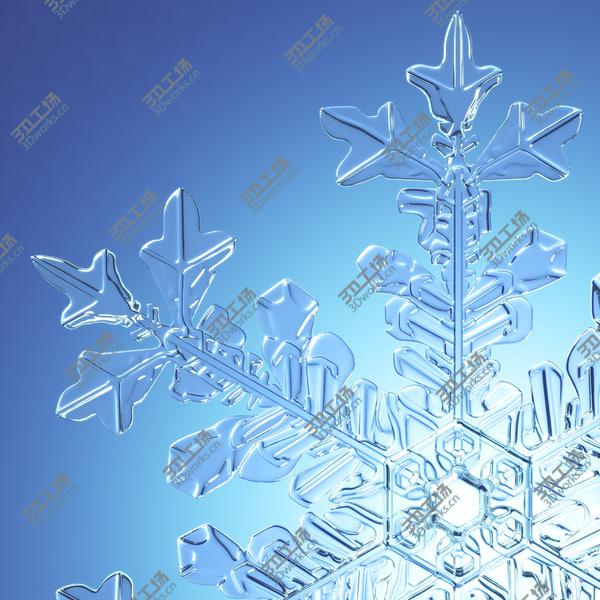 images/goods_img/20210312/Collection of Snowflakes/4.jpg